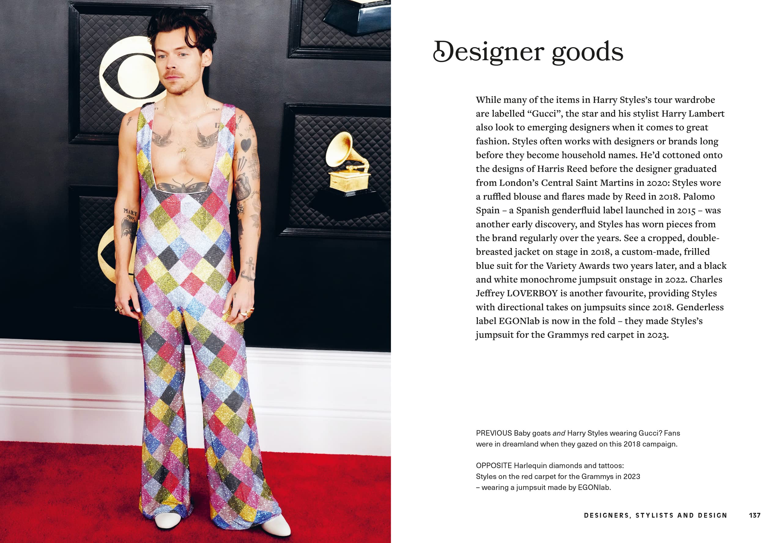 Icons of Style - Harry Styles bog